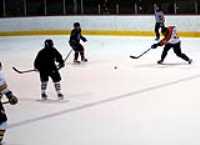 dgt_hockey (11)
